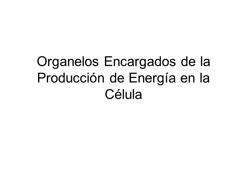 Organelos Encargados de la Producción de Energía en la Célula
