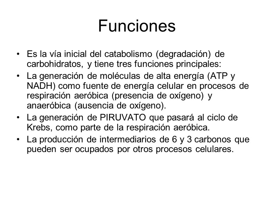 Funciones Es la vía inicial del catabolismo (degradación) de carbohidratos, y tiene tres funciones principales:
