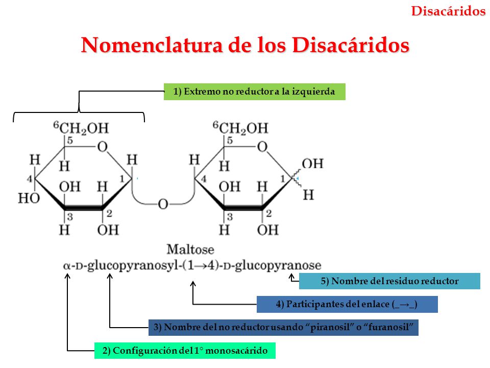 Nomenclatura de los Disacáridos