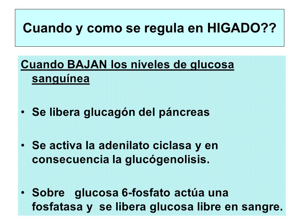 Cuando y como se regula en HIGADO