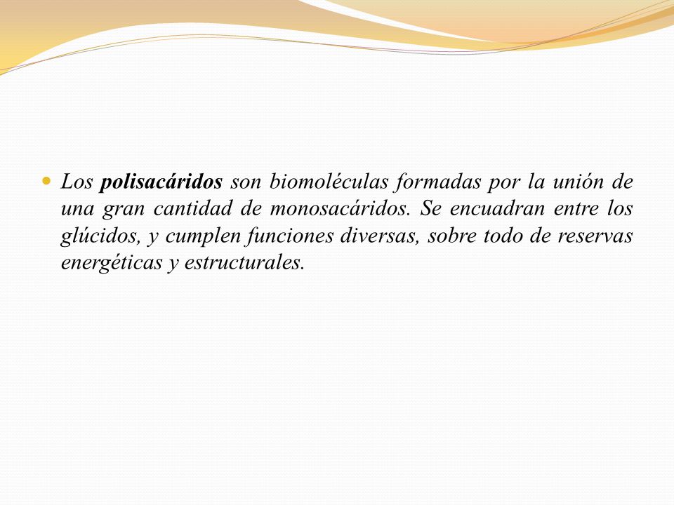 Los polisacáridos son biomoléculas formadas por la unión de una gran cantidad de monosacáridos.