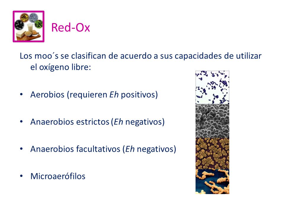 Red-Ox Los moo´s se clasifican de acuerdo a sus capacidades de utilizar el oxígeno libre: Aerobios (requieren Eh positivos)