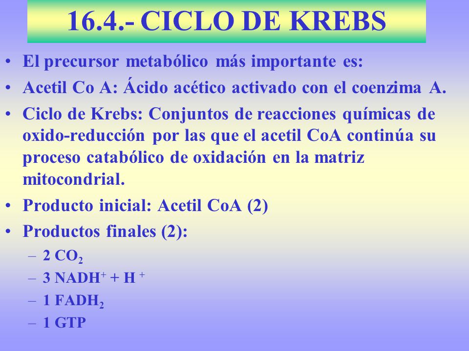 CICLO DE KREBS El precursor metabólico más importante es: