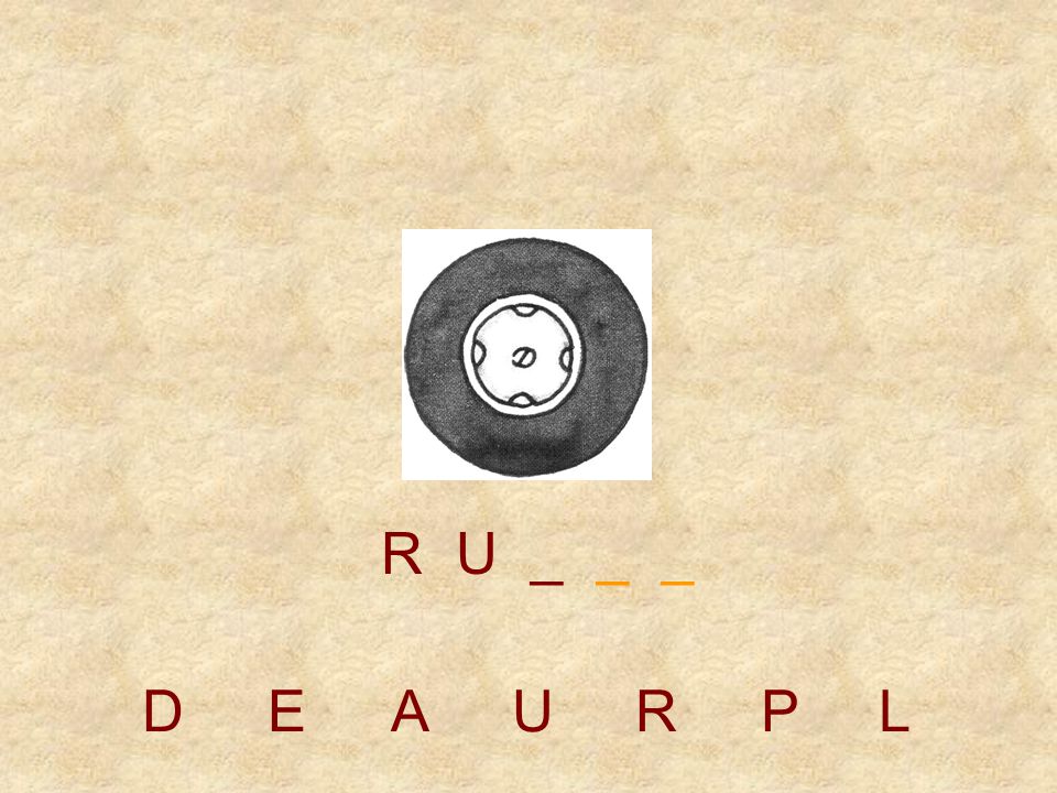 R U _ _ _ D E A U R P L
