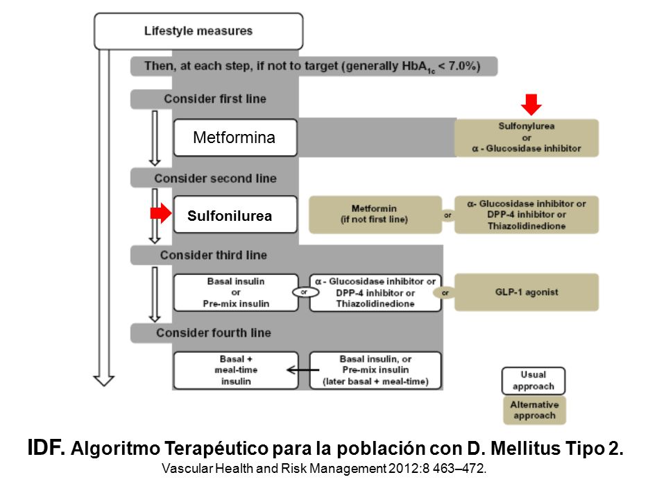 IDF. Algoritmo Terapéutico para la población con D. Mellitus Tipo 2.