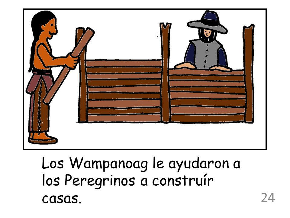 Los Wampanoag le ayudaron a los Peregrinos a construír casas.