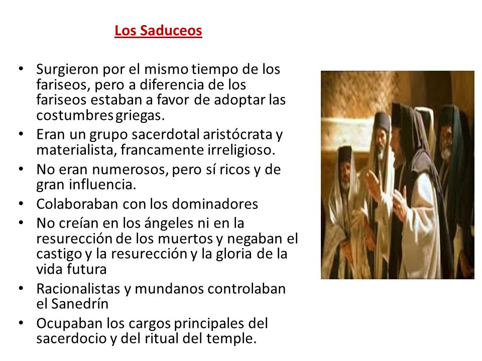 Los Saduceos Surgieron por el mismo tiempo de los fariseos, pero a diferencia de los fariseos estaban a favor de adoptar las costumbres griegas.