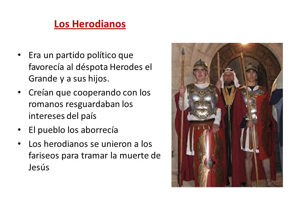 Los Herodianos Era un partido político que favorecía al déspota Herodes el Grande y a sus hijos.