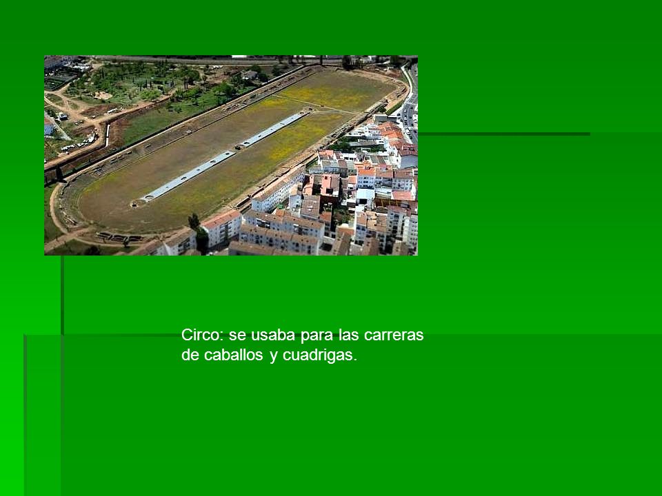 Circo: se usaba para las carreras de caballos y cuadrigas.
