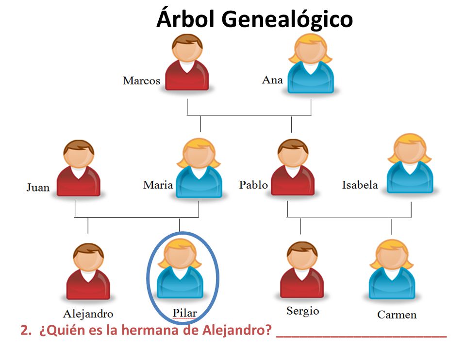 Árbol Genealógico 2. ¿Quién es la hermana de Alejandro ______________________