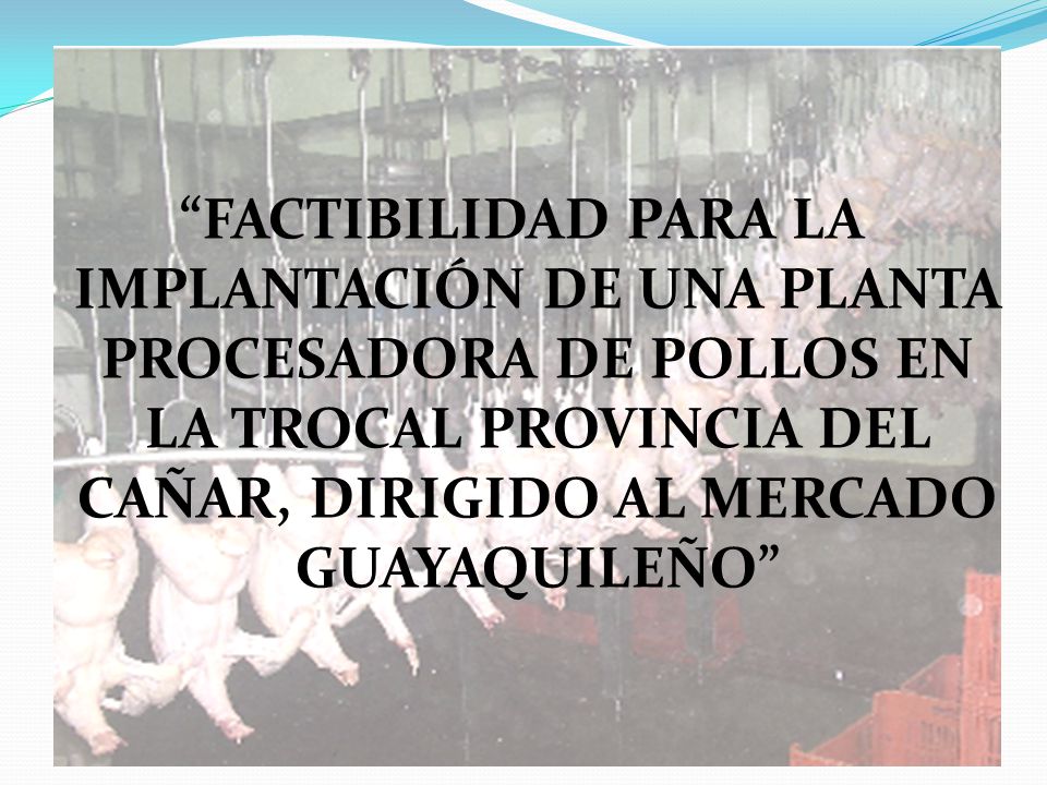 FACTIBILIDAD PARA LA IMPLANTACIÓN DE UNA PLANTA PROCESADORA DE POLLOS EN LA TROCAL PROVINCIA DEL CAÑAR, DIRIGIDO AL MERCADO GUAYAQUILEÑO