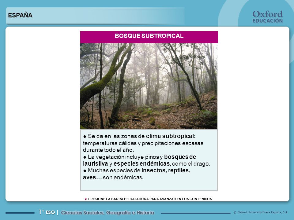 ESPAÑA BOSQUE SUBTROPICAL ● Se da en las zonas de clima subtropical: