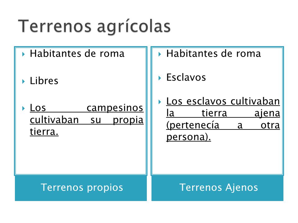 Terrenos agrícolas Habitantes de roma Libres