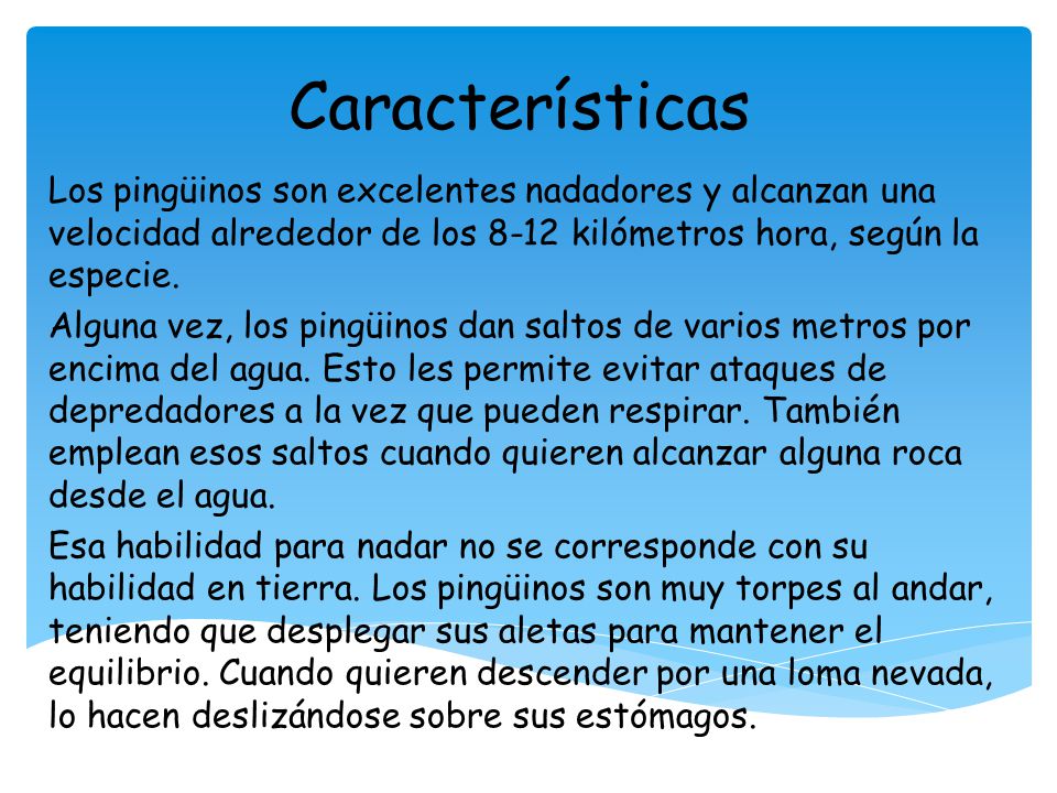 Características Los pingüinos son excelentes nadadores y alcanzan una velocidad alrededor de los 8-12 kilómetros hora, según la especie.