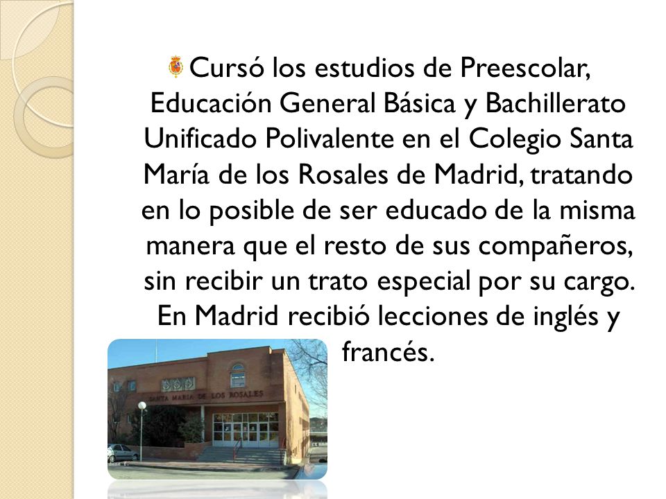 Cursó los estudios de Preescolar, Educación General Básica y Bachillerato Unificado Polivalente en el Colegio Santa María de los Rosales de Madrid, tratando en lo posible de ser educado de la misma manera que el resto de sus compañeros, sin recibir un trato especial por su cargo.