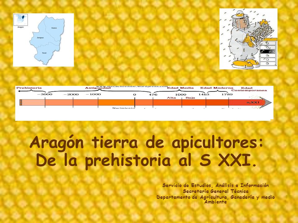 Aragón tierra de apicultores: De la prehistoria al S XXI.