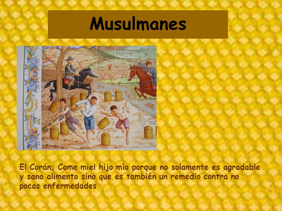 Musulmanes El Corán; Come miel hijo mío porque no solamente es agradable y sano alimento sino que es también un remedio contra no pocas enfermedades.