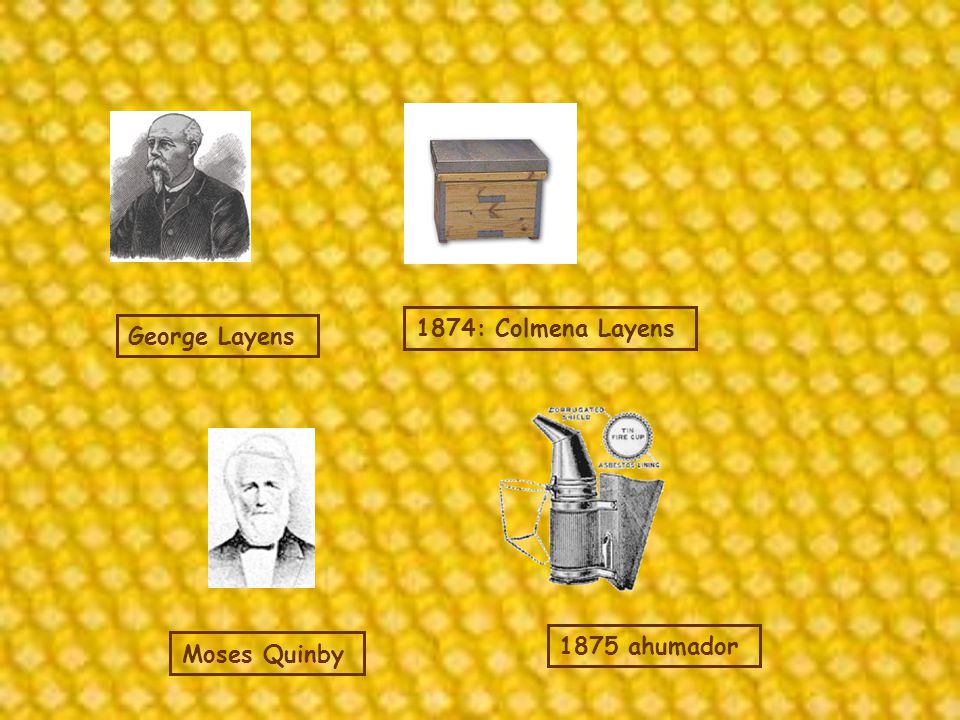 1874: Colmena Layens George Layens 1875 ahumador Moses Quinby