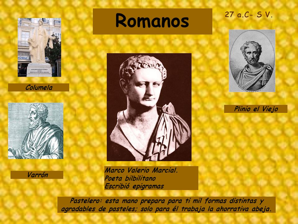 Romanos 27 a.C- S V. Columela Plinio el Viejo Marco Valerio Marcial.