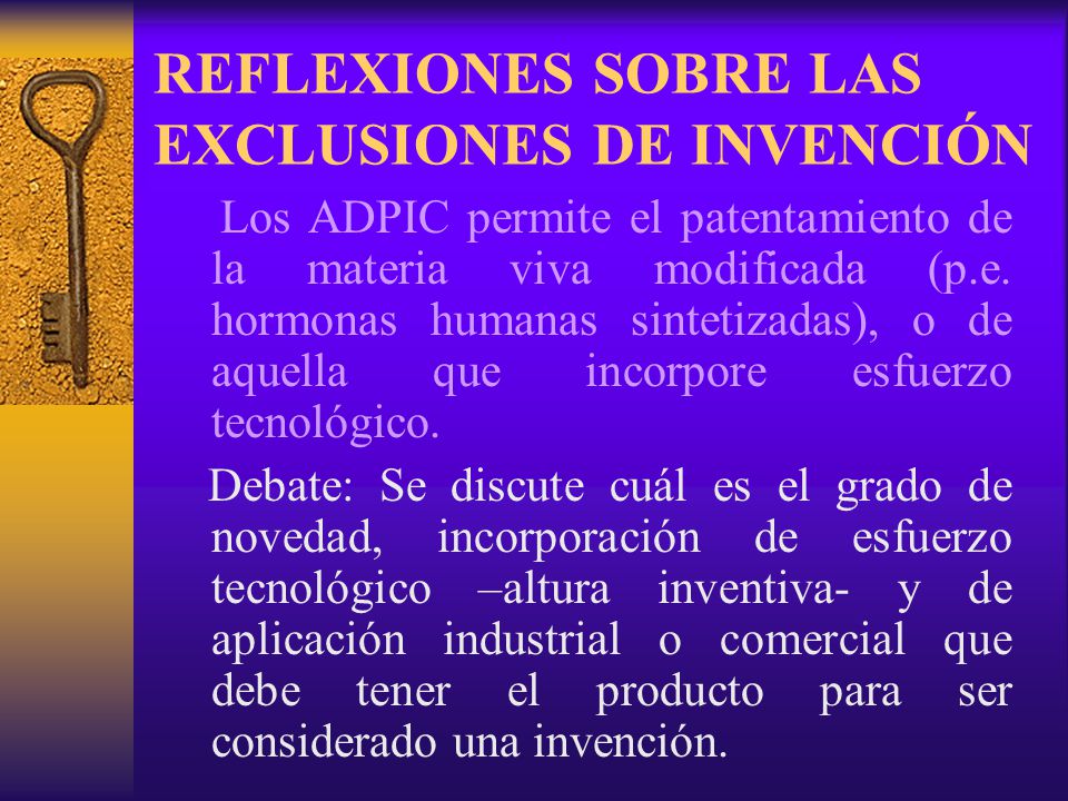 REFLEXIONES SOBRE LAS EXCLUSIONES DE INVENCIÓN