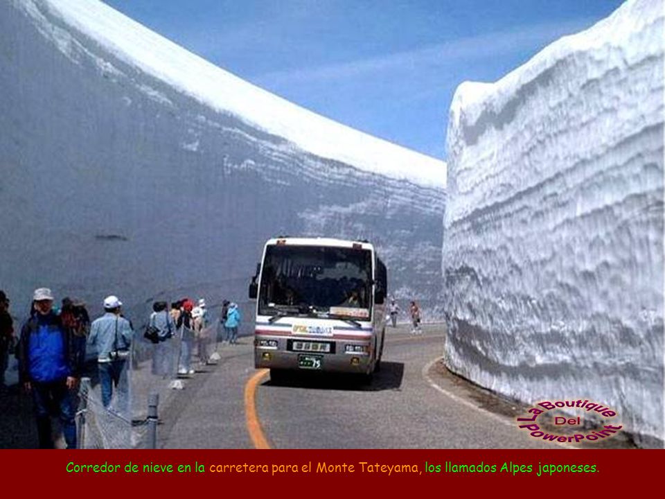 Corredor de nieve en la carretera para el Monte Tateyama, los llamados Alpes japoneses.