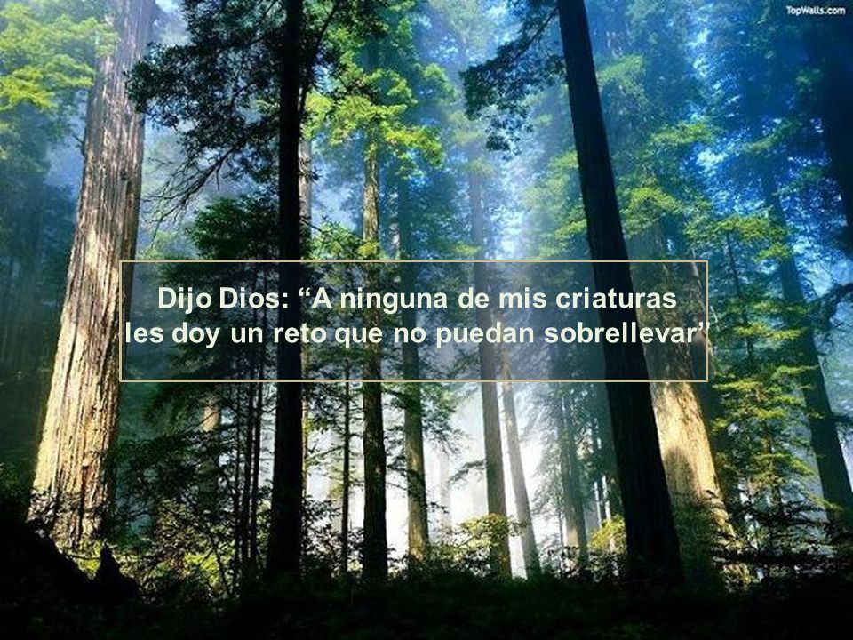 Dijo Dios: A ninguna de mis criaturas les doy un reto que no puedan sobrellevar