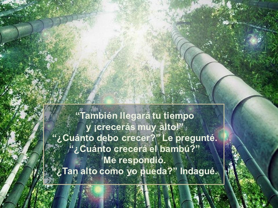 También llegará tu tiempo y ¡crecerás muy alto! ¿Cuánto debo crecer Le pregunté.