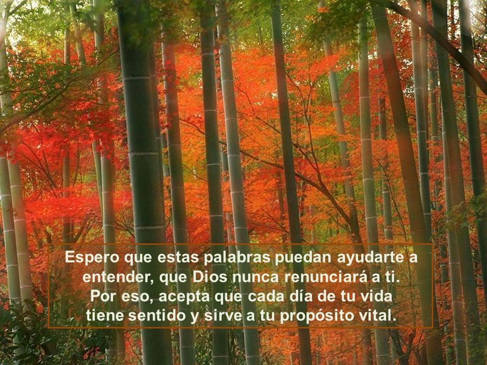 Espero que estas palabras puedan ayudarte a entender, que Dios nunca renunciará a ti.