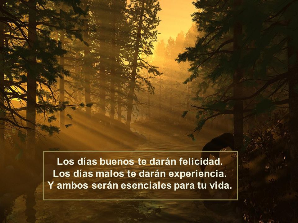 Los días buenos te darán felicidad. Los días malos te darán experiencia.