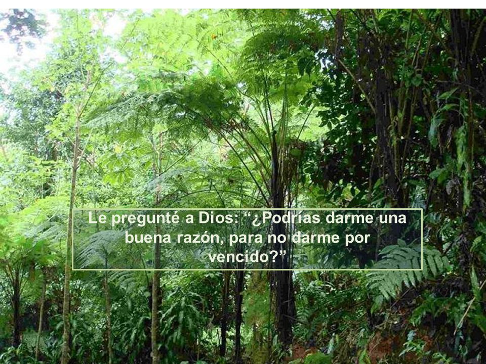 Le pregunté a Dios: ¿Podrías darme una buena razón, para no darme por vencido