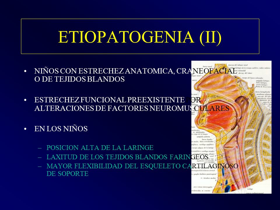 ETIOPATOGENIA (II) NIÑOS CON ESTRECHEZ ANATOMICA, CRANEOFACIAL O DE TEJIDOS BLANDOS.