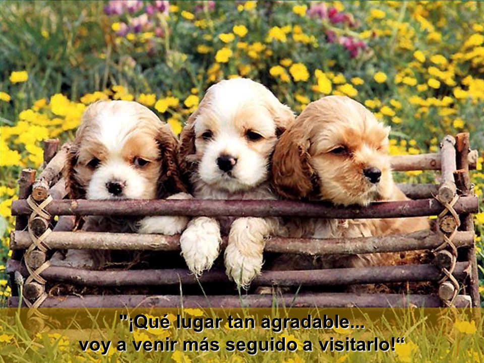 ¡Qué lugar tan agradable... voy a venir más seguido a visitarlo!