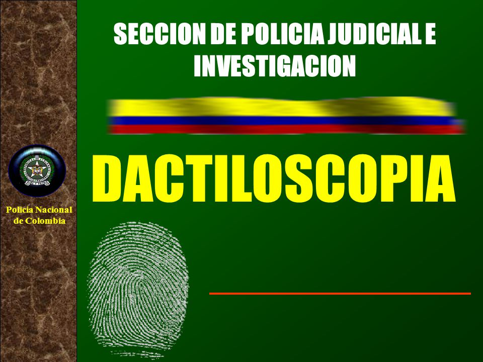 SECCION DE POLICIA JUDICIAL E INVESTIGACION