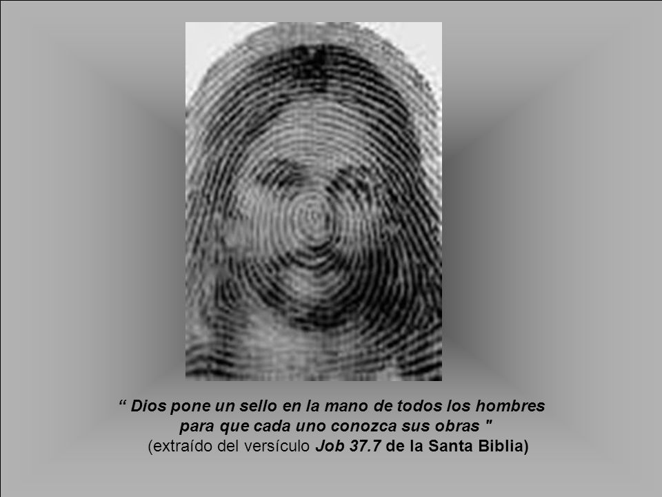 Dios pone un sello en la mano de todos los hombres