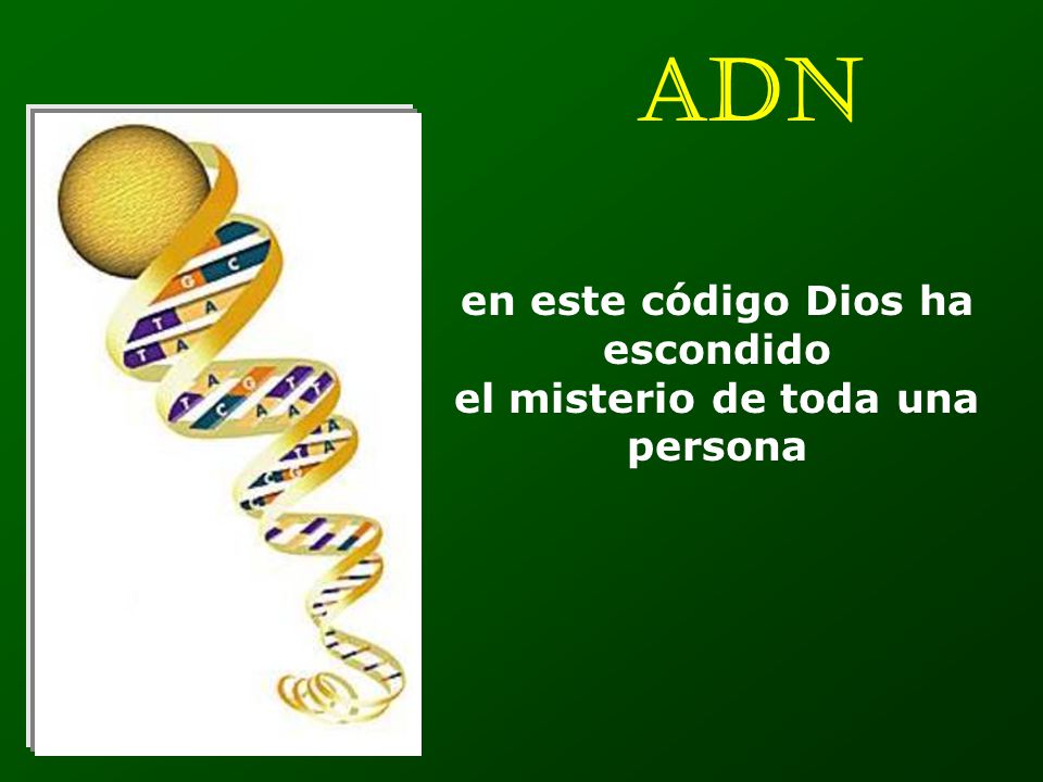 en este código Dios ha escondido el misterio de toda una persona