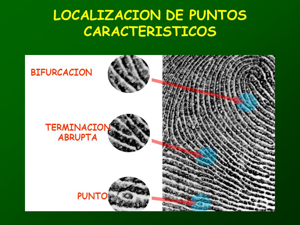 LOCALIZACION DE PUNTOS CARACTERISTICOS