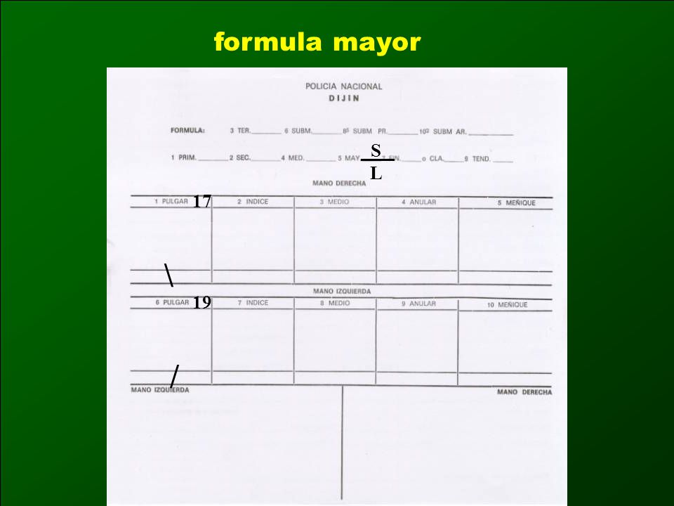 formula mayor _S_ L 17 \ 19 /