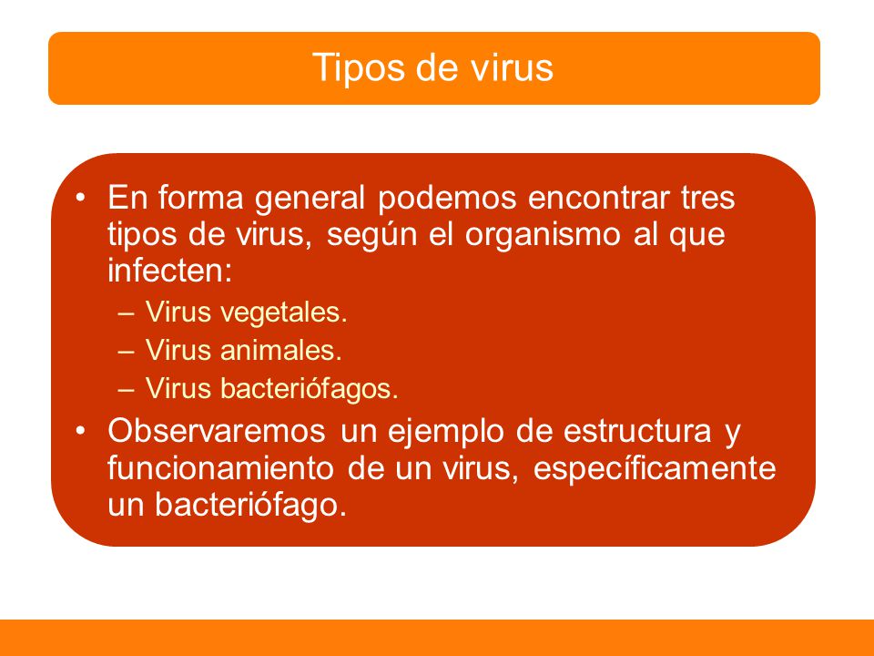 Tipos de virus En forma general podemos encontrar tres tipos de virus, según el organismo al que infecten: