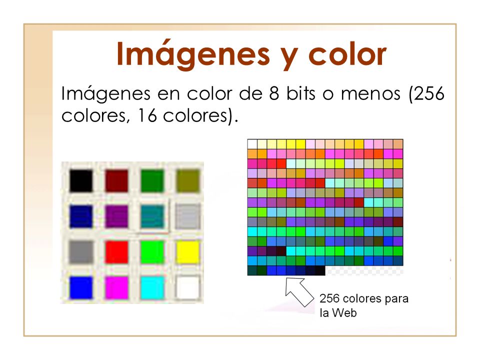 Imágenes y color Imágenes en color de 8 bits o menos (256 colores, 16 colores). 13