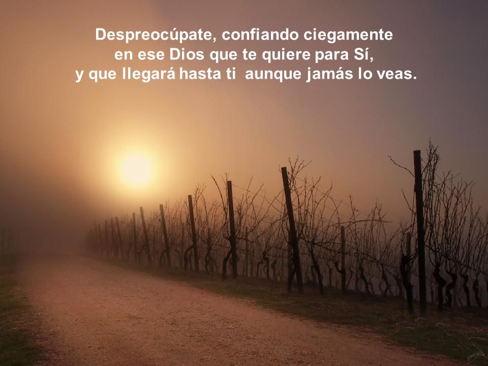 Despreocúpate, confiando ciegamente en ese Dios que te quiere para Sí,