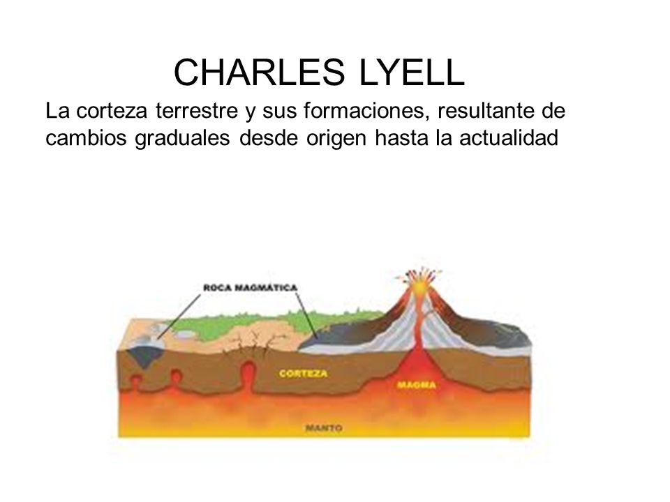 CHARLES LYELL La corteza terrestre y sus formaciones, resultante de cambios graduales desde origen hasta la actualidad.