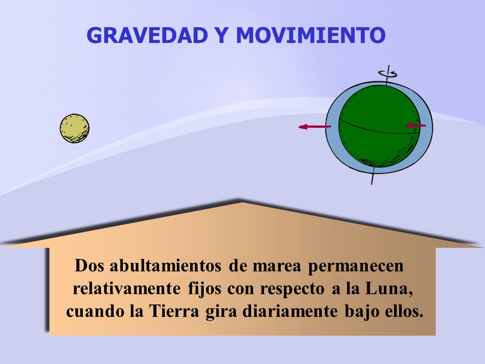 GRAVEDAD Y MOVIMIENTO Dos abultamientos de marea permanecen