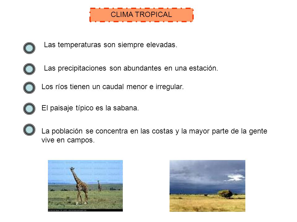 CLIMA TROPICAL Las temperaturas son siempre elevadas. Las precipitaciones son abundantes en una estación.