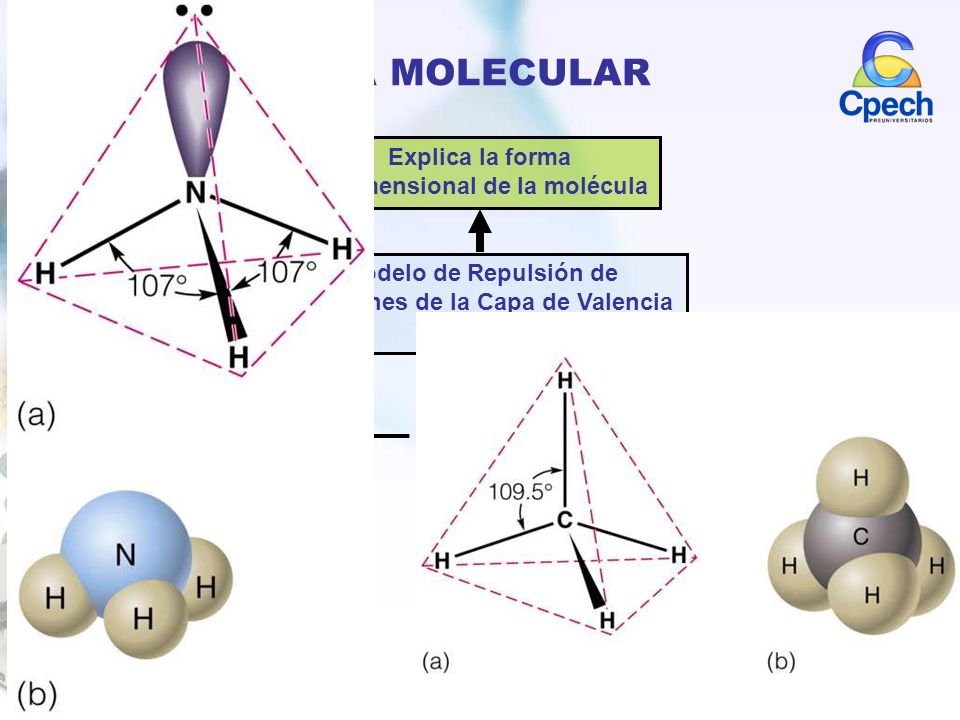GEOMETRÍA MOLECULAR Explica la forma tridimensional de la molécula