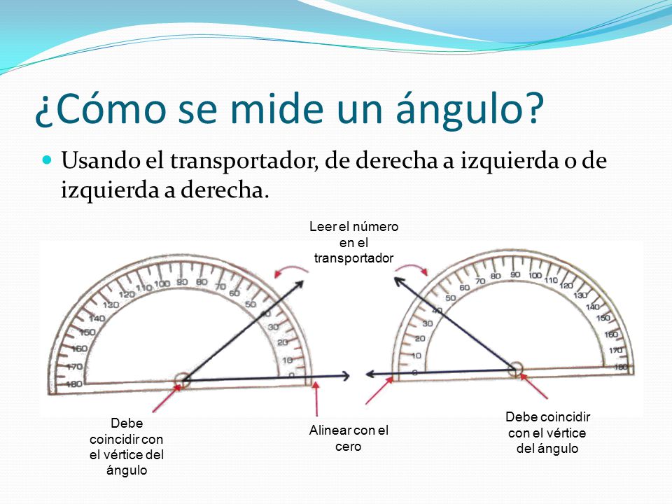 ¿Cómo se mide un ángulo Usando el transportador, de derecha a izquierda o de izquierda a derecha. Leer el número en el transportador.