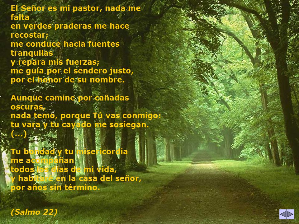 El Señor es mi pastor, nada me falta en verdes praderas me hace recostar; me conduce hacia fuentes tranquilas y repara mis fuerzas; me guía por el sendero justo, por el honor de su nombre. Aunque camine por cañadas oscuras, nada temo, porque Tú vas conmigo: tu vara y tu cayado me sosiegan. (...) Tu bondad y tu misericordia me acompañan todos los días de mi vida, y habitaré en la casa del señor, por años sin término.