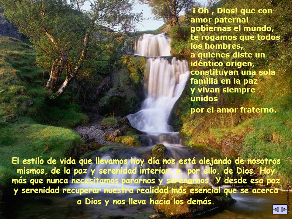 ¡ Oh , Dios! que con amor paternal gobiernas el mundo, te rogamos que todos los hombres, a quienes diste un idéntico origen, constituyan una sola familia en la paz y vivan siempre unidos por el amor fraterno.