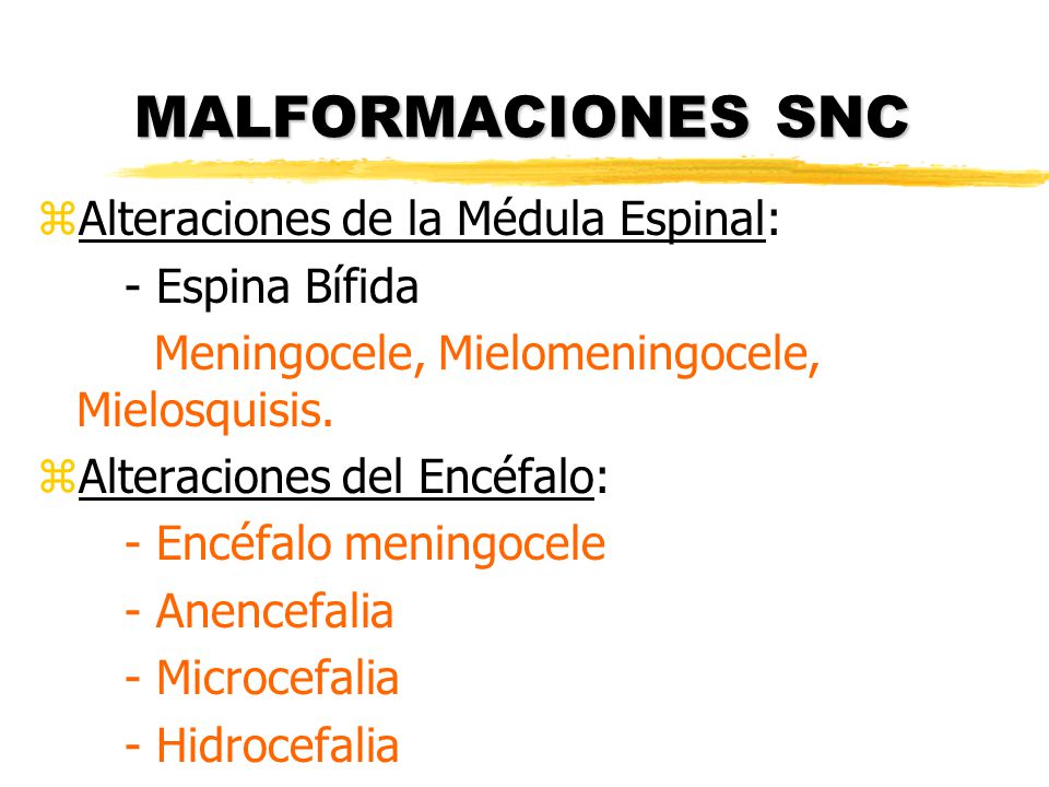 MALFORMACIONES SNC Alteraciones de la Médula Espinal: - Espina Bífida