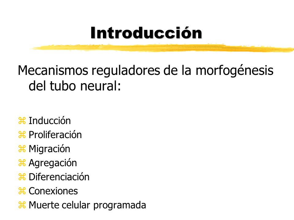 Introducción Mecanismos reguladores de la morfogénesis del tubo neural: Inducción. Proliferación.