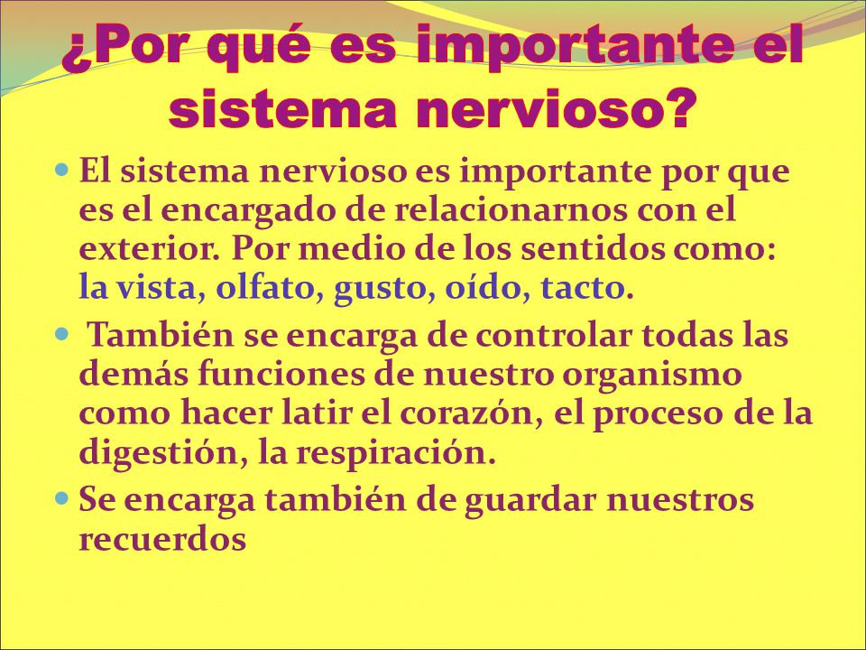 ¿Por qué es importante el sistema nervioso
